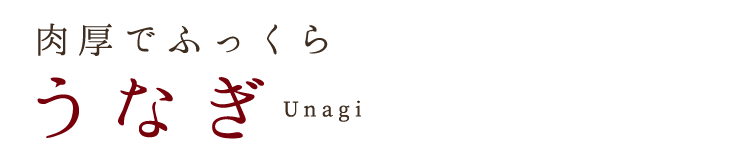 肉厚でふっくらうなぎ