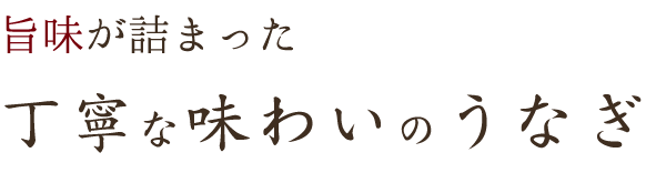 旨味が詰まった丁寧な味わいのうなぎ